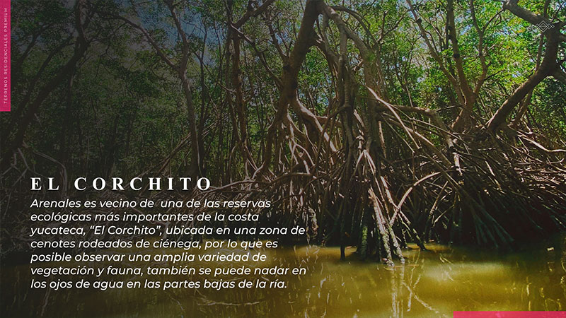 ARENALES_Horizontal_Etapa4-5