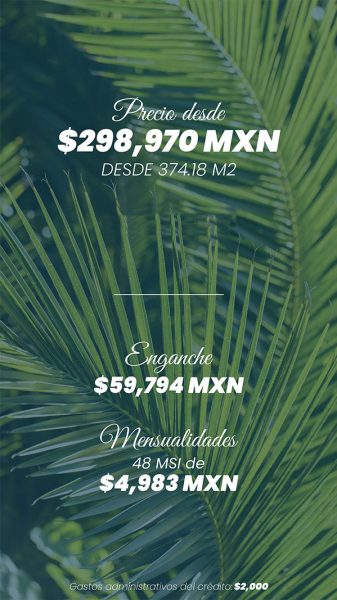 santamar-vertical-11 santamar-vertical-11